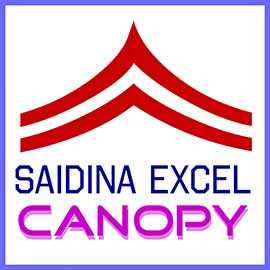 saidina logo